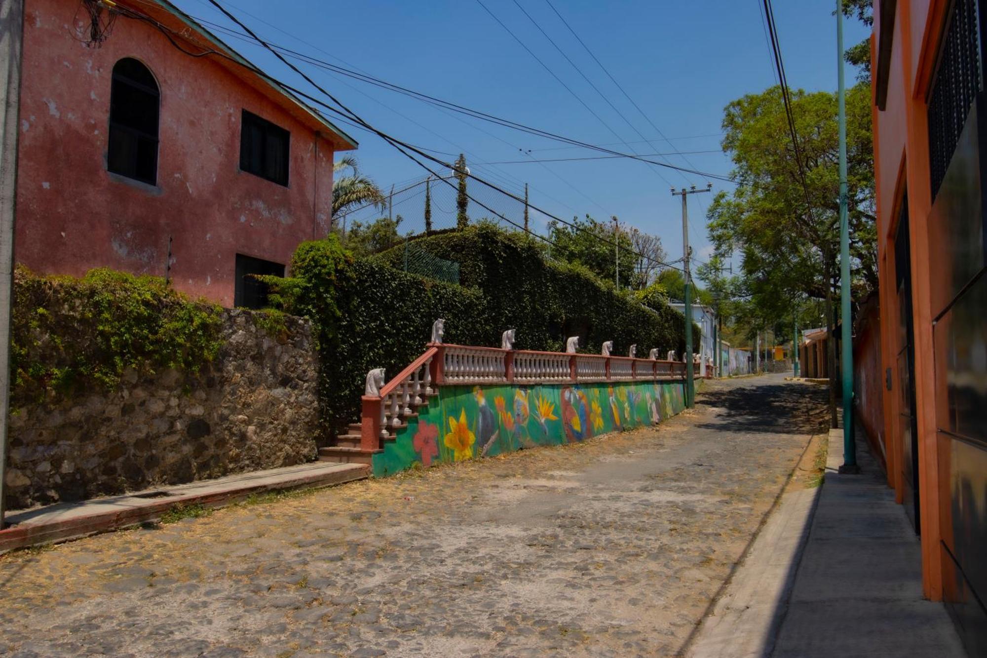 New! Bamboo Rooftop Villa Cuernavaca Exterior foto